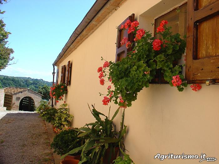 Agriturismo: esterno (6)